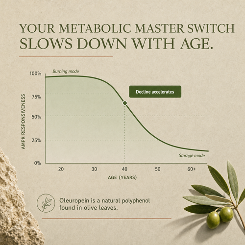 Releafe Oleaf Extract