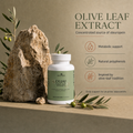 Releafe Oleaf Extract