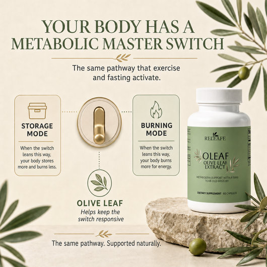 Releafe Oleaf Extract